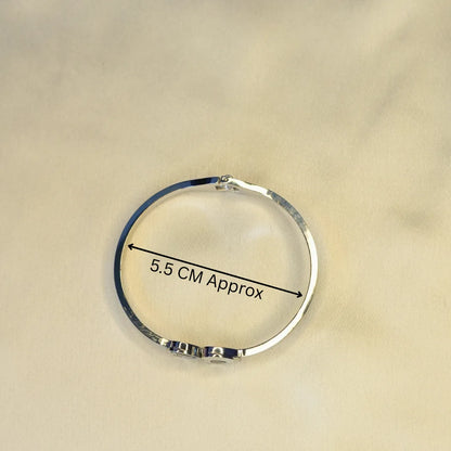 Silver Shadow Butterfly